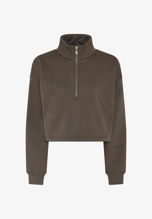 Pruun lühendatud dressipluus pikkade varrukate, kõrge kaeluse ja hõbedase pooltõmblukuga ees keskel.