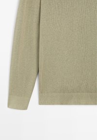 Lichtgroene gebreide trui met een zachte textuur, voorzien van lange mouwen en een geribbelde zoom. Eenvoudig ontwerp zonder zichtbare patronen of sierbeslag.