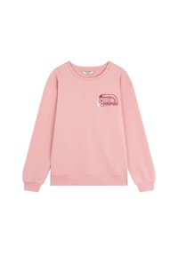 Sudadera rosa de manga larga, con cuello redondo y un gráfico en el pecho que presenta texto estilizado y motivos. Hecha de una tela suave con un dobladillo acanalado.