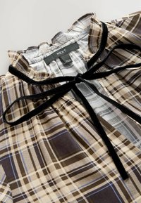REGULAR FIT - TIE FRONT TIERED LONG SLEEVE - Kasdienė suknelė - brown check