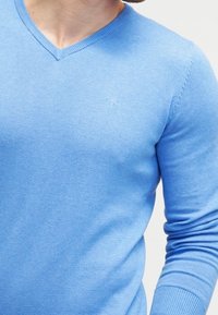 Pull à col en V bleu clair, fabriqué dans un tissu doux et confortable. Il a de longues manches et un logo subtil sur la poitrine. Ribs texturés aux poignets.