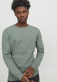 Jack & Jones CREW NECK NOOS - Trui - pad
