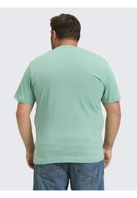 Kurzärmliges T-Shirt aus weichem mintgrünen Baumwollstoff, mit Rundhalsausschnitt und entspannter Passform, kombiniert mit Jeansshorts. Rückansicht gezeigt.