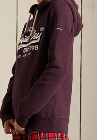 Superdry & Co Jersey con capucha - red