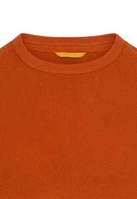 Sweter w kolorze rdzy z okrągłym dekoltem, wykonany z teksturowanej dzianiny, z prążkowanym wykończeniem dekoltu i kontrastującą żółtą metką z tyłu.