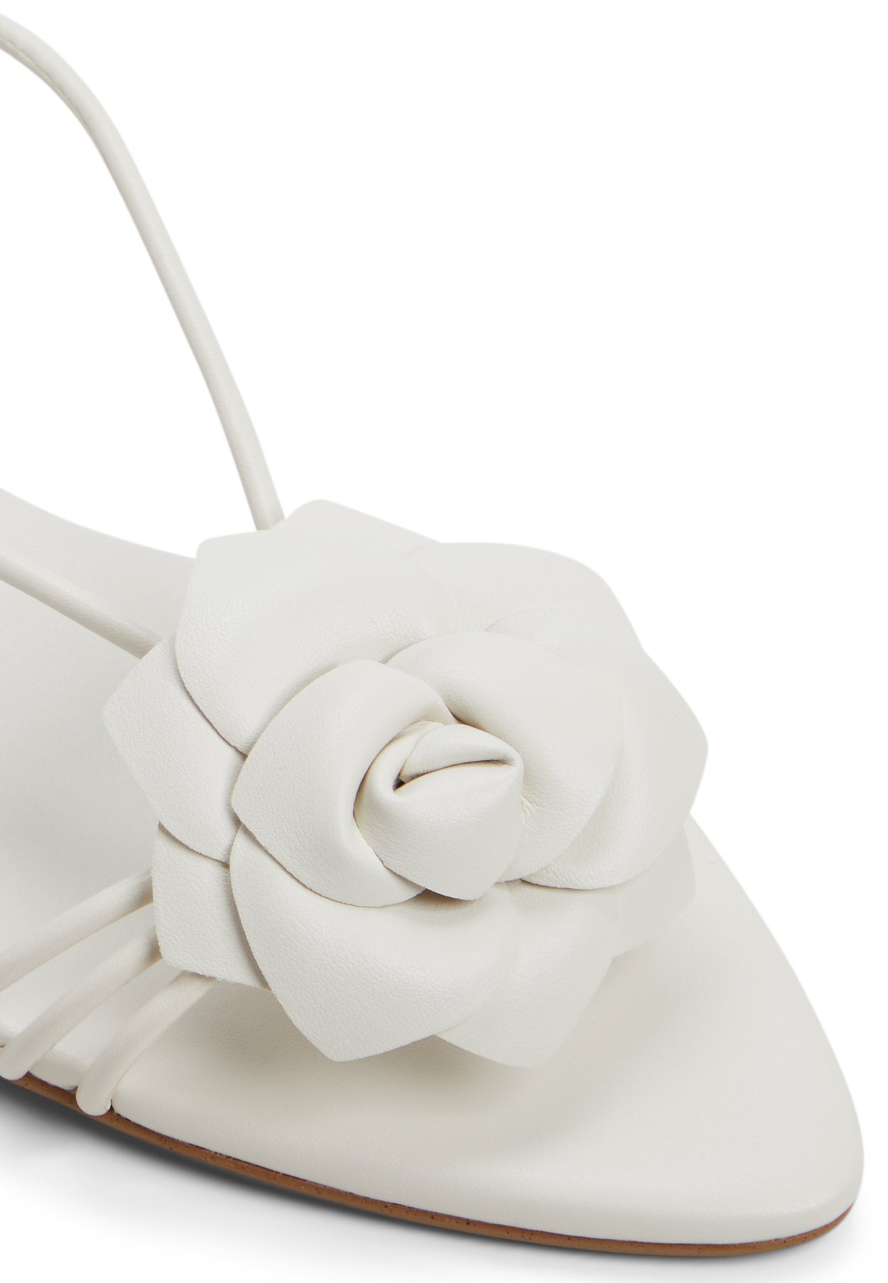 GARDENIA