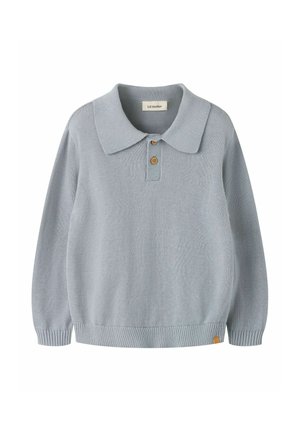 Pull tricoté bleu clair avec un large col, deux boutons en bois, manches longues, et poignets et ourlet côtelés.