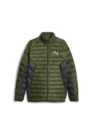 PACKLITE PRIMALOFT - Winterjacke - myrtle