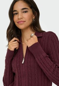 Burgundijas krāsas adīta džemperis ar rāvējslēdzēja apkakli, ar izšūtu stiegru rakstu un ribotām piedurknēm. Modelis pielāgo apkakli, redzams sudraba gredzens.