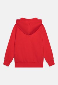 Felpa con cappuccio rosso vista da dietro, con maniche lunghe, polsini e vita a costine, su uno sfondo chiaro e semplice.