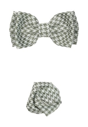 Groen en witte houndstooth-patroon strik en kleinere knoopaccessoire gemaakt van geweven stof, met een gestructureerd uiterlijk en gedefinieerde vormen.