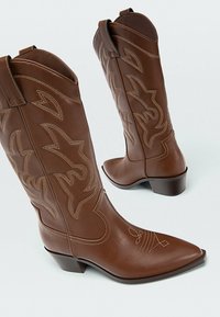 Bruna lädercowboystövlar med dekorativ sömnad på skaften och spetsiga tår, visade mot en ljus bakgrund.