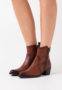 Marco Tozzi by Guido Maria Kretschmer BOOTS - Cowboy/biker ankle boot - muscat antic