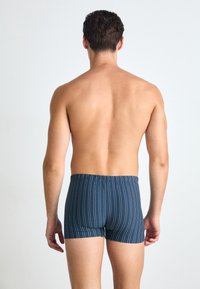Boxers azul riscas feitos de tecido macio, apresentando um cós elástico e um design de perna curta. Vista a partir de trás.