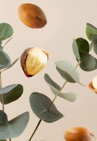 Miniatyrbild 4