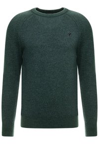 Maglione lungo a maniche lunghe di colore verde scuro, con collo a giro e polsini e orlo a costine, caratterizzato da un piccolo logo di un uccello ricamato sul petto.