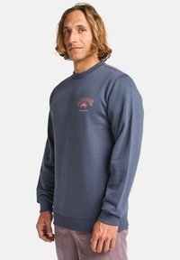 Blue sweatshirt made of cotton, featuring a crew neckline and long sleeves. It has a pink embroidered logo on the chest and ribbed cuffs.