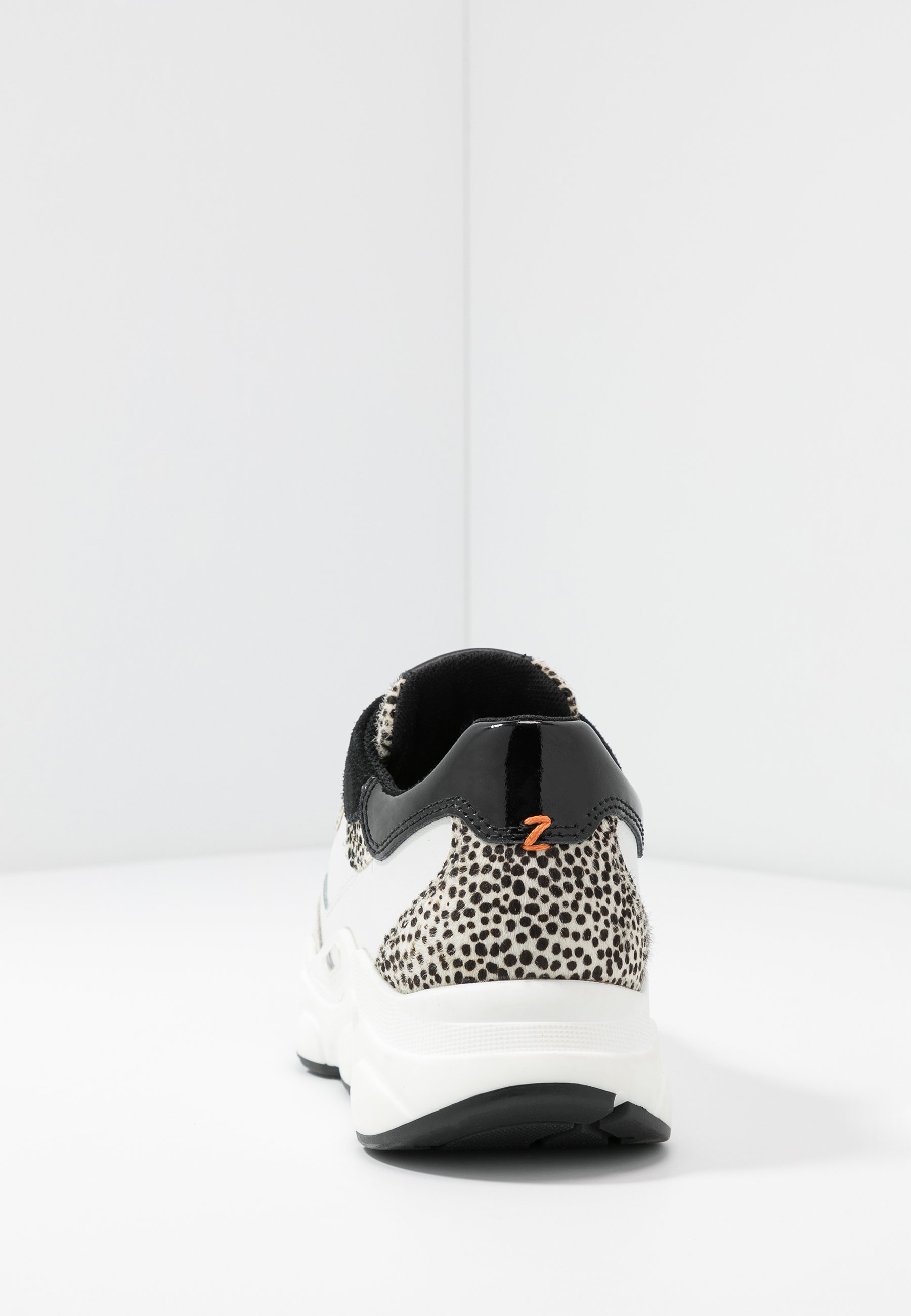 HUB ROCK - Sneakers laag - offwhite/cheetah/black/crème - Zalando.nl