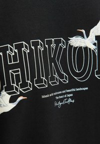 Melns audums ar izteiksmīgu, baltu, 3D tekstu "HIKON" un ilustrācijām ar žagariem, kā arī tekstu zemāk, kas atsaucas uz Japānas ainavām un tējnīcām.