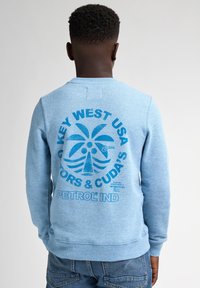 Felpa azzurra chiara realizzata in tessuto testurizzato, caratterizzata da una grande stampa grafica di una palma e testo sul retro in blu scuro.