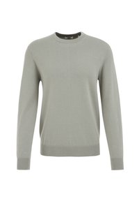 Ljust grått pullover-sweater, rundad hals, långa ärmar, ribbade muddar och nederkant. Slät textur, minimalisitk design utan mönster eller detaljer.