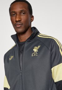 Šedá športová bunda na zips so žltými akcentmi, s vyšívaným logom Liverpool FC. Vyrobená z hladkej syntetickej látky.