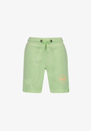RONAN - Tracksuit bottoms - paradise green
