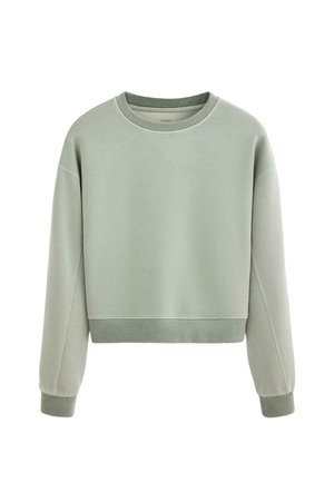 Lysegrøn crewneck sweatshirt med lange ærmer og ribstrikkede manchetter og kant, vist mod en hvid baggrund.