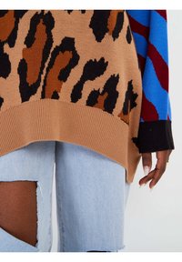 Gebreide trui met een luipaardprint in bruin en zwart, vergezeld van meerkleurige mouwen in blauw, rood en zwart. Lichtblauwe ripped jeans.