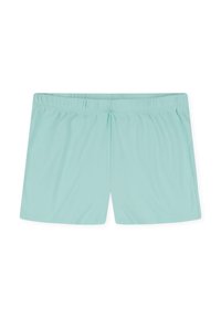 Shorts de bain bleus clairs fabriqués en tissu lisse et léger avec une taille élastique. Présente un design simple et classique sans motifs.
