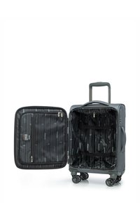 Grijze handbagagekoffer met een harde schaal, voorzien van een interieur met zwart-wit gestreepte voering, vakken en vier draaibare wielen.