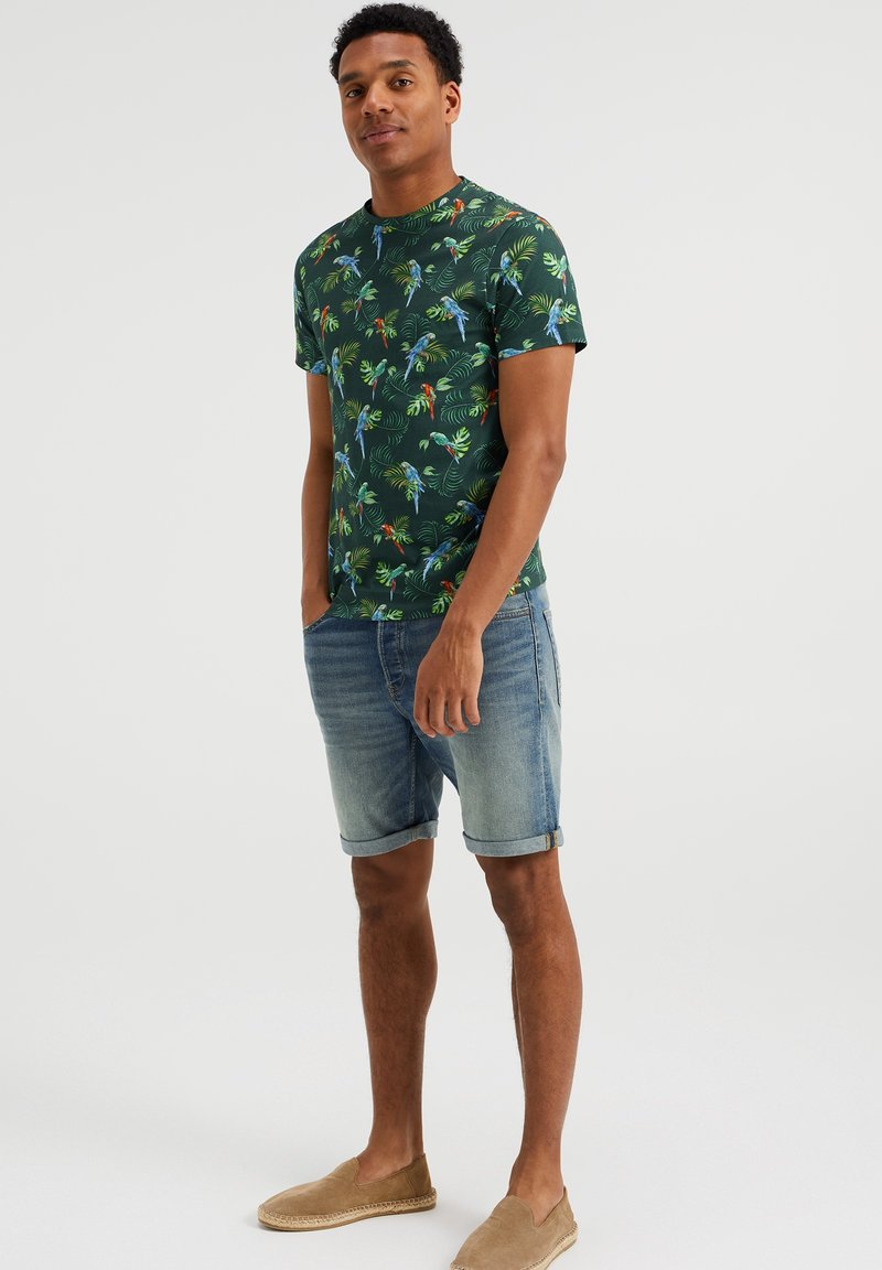 Herren T-Shirts basic | WE Fashion T-Shirt print green/grün - QZ83603 Herren T-Shirts basic | WE Fashion T-Shirt print green/grün - QZ83603