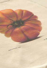 Cotton sweatshirt featuring a large, realistic print of a pink-orange tomato. Text below reads "Mediterranean mode" in a minimalist font.