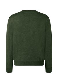 Grüner gestrickter Pullover mit langen Ärmeln, rundem Halsausschnitt und geripptem Saum. Die Textur ist weich und weist ein glattes, gleichmäßiges Muster auf.