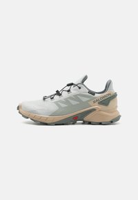 SUPERCROSS 4 GTX - Laufschuh Trail - metal/white pepper/sedona sage