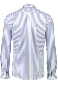 Vaaleansininen ja valkoinen raidallinen pitkähihaisen paidan, jossa on levitetty kaulus, nappihihansuut ja sileä kangas. Takaa näkyy pystysuoria raitoja.