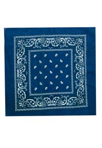 Bandana bleue avec un motif paisley blanc, ornée de motifs floraux intricats le long de la bordure et de formes en goutte d'eau répétées au centre.
