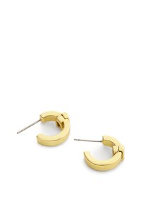 Aretes de aro color dorado con un acabado liso y pulido. Forma semicircular que presenta un detalle de bisagra y un poste recto para abrochar.