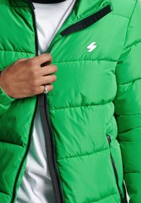 Superdry & Co Giacca invernale - green