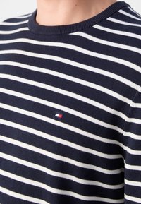 Pull rayé horizontal bleu marine et blanc avec un petit logo rectangulaire rouge, blanc et bleu sur la poitrine.