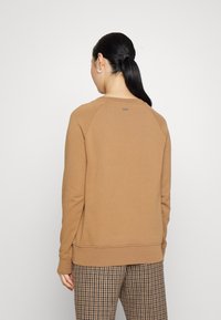 Brown cotton sweatshirt with a relaxed fit, raglan sleeves, and ribbed hem. Notable stitching detail and small tag on the back.