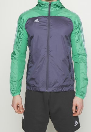 Mann trägt grün-blaue Adidas Kapuzenjacke mit durchgehendem Frontreißverschluss und schwarze Adidas Shorts mit Logo am linken Bein.