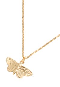 Collana d'oro con pendente a forma di farfalla, caratterizzata da incisioni dettagliate sulle ali e una catena fine. La farfalla è posizionata centralmente.