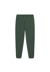 Green, tapered sweatpants made of soft fabric, featuring an elastic waistband and cuffs. Smooth texture with no visible patterns or accents.