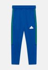 TIRO NATIONS PACK UNISEX - Pantaloni de trening - blue/green/white/red