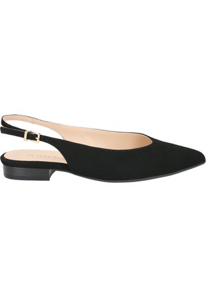 Ballerine in suede nero con punta affilata, design minimalista e tacco basso. Presentano una fibbia dorata su una sottile cinghia.