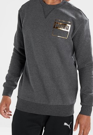 Hombre vestido con sudadera Puma gris oscuro con logotipo dorado metalizado en el pecho y pantalones Puma negros con logotipo blanco en el muslo.