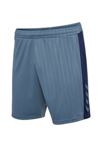 Blåa sportshorts med vertikala ränder, elastisk midja och sidopanel i mörkblått med ett geometriskt mönster. Lätt material.