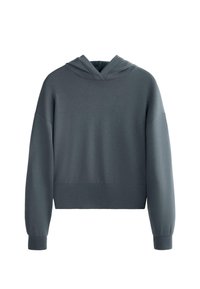 Felpa con cappuccio grigia scura, maniche lunghe, polsini a costine e vita aderente, esposta su uno sfondo bianco.