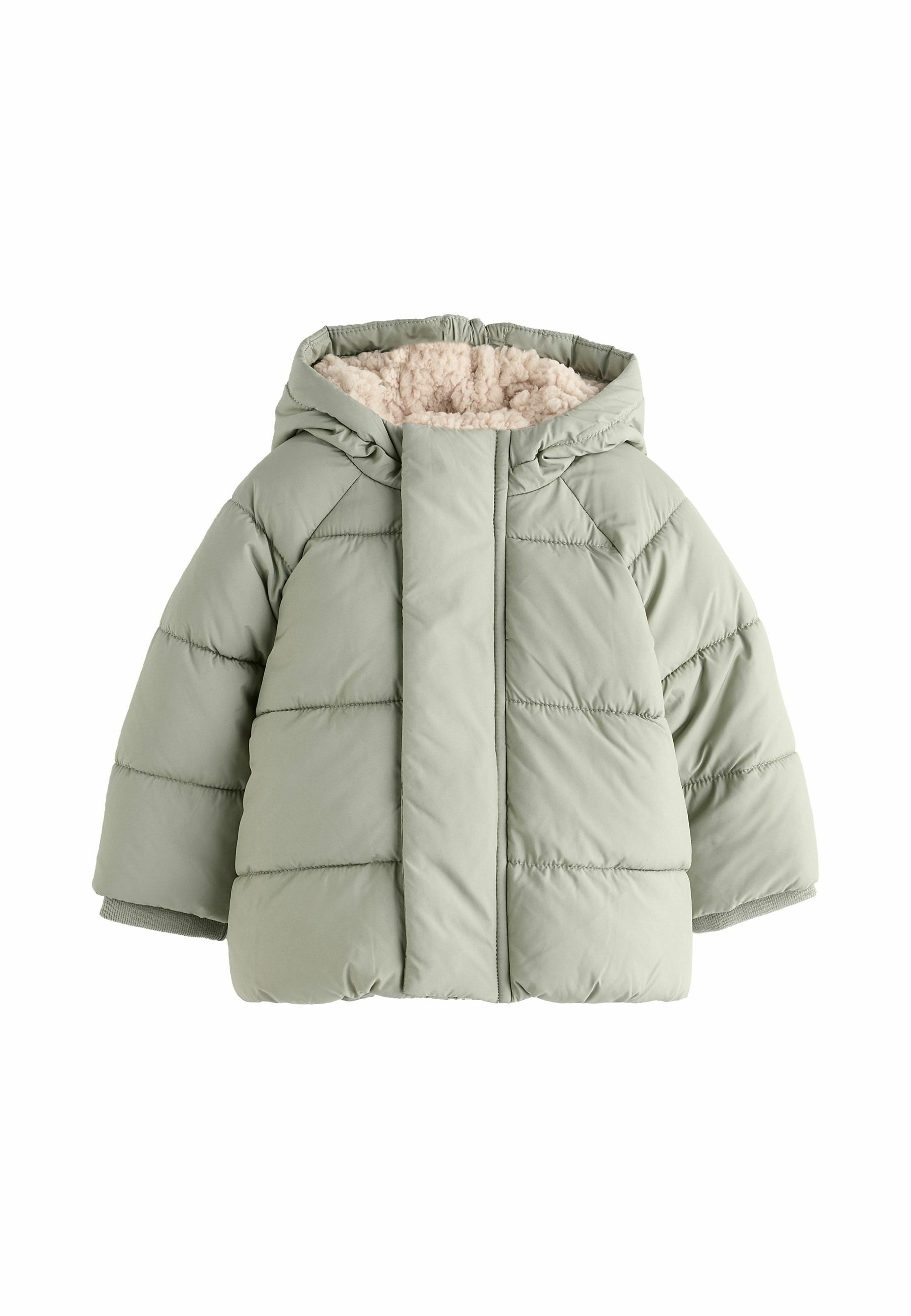 Next PUFFER REGULAR FIT - Winter coat - sage green/green